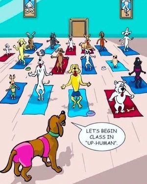 Image post by @zeetabody on Instagram