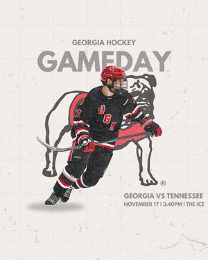 Image post by @ugahockeyd3 on Instagram