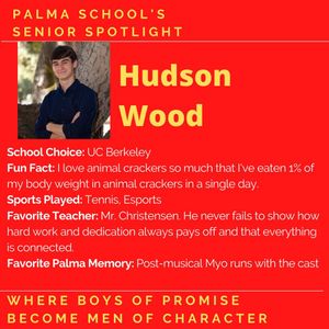 Image post by @palma_school on Instagram