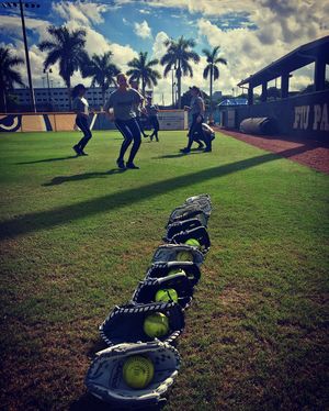 Image post by @fiusoftball on Instagram