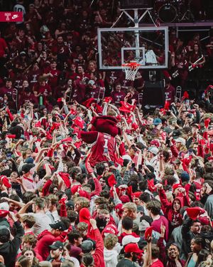 Image post by @TempleOwls on Twitter