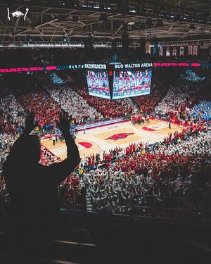 Image post by @razorbackmbb on Instagram