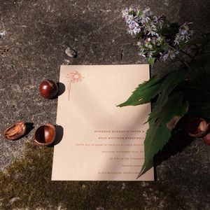 Image post by @thewildingcollective on Instagram