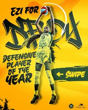 Image post by @seattlestorm on Instagram