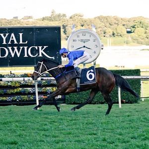 Image post by @australianturfclub on Instagram