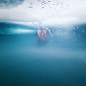 Image post by @discovery on Instagram