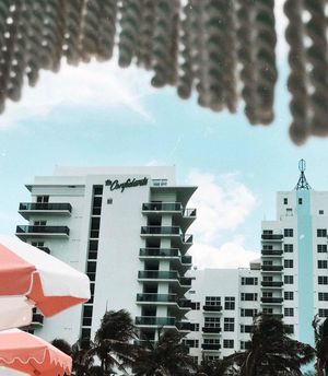Image post by @theconfidante on Instagram