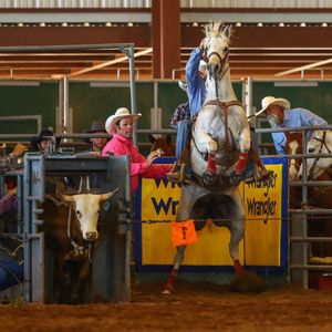 Image post by @ariannagrainey on Instagram