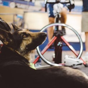 Image post by @usparacycling on Instagram