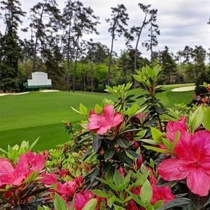 Image post by @themasters on Instagram