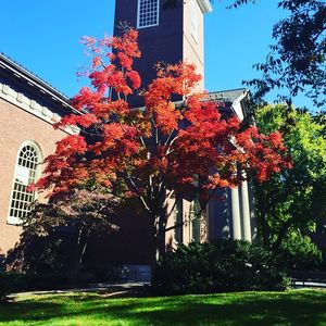 Image post by @harvardwhockey on Instagram