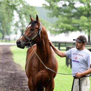 Image post by @spendthriftfarm on Instagram