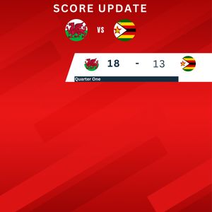 Image post by @walesnetball_ on Instagram