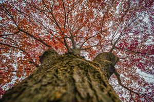 Image post by @ariannagrainey on Instagram