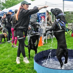 Image post by @spokhumanesoc on Instagram