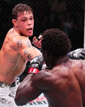 Image post by @ufc_brasil on Instagram