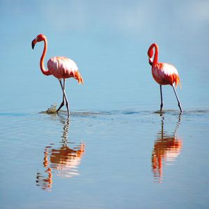 Image post by @discovery on Instagram