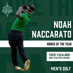 Image post by @trentexcalibur on Instagram