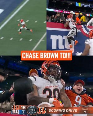 Image post by @bengals on Instagram