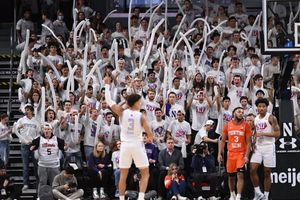 Image post by @barstoolcats on Instagram