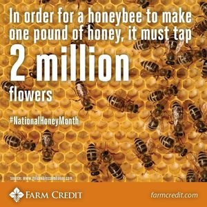 Image post by @farmcredit on Instagram