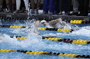 Image post by @alabamaswimdive on Instagram