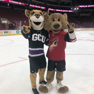 Image post by @gcuthunder on Instagram