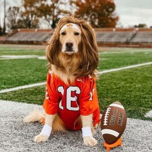Image post by @ClemsonUniv on Twitter