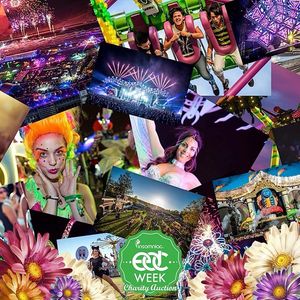 Image post by @edc_lasvegas on Instagram