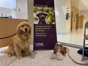 Image post by @upmchealthbeat on Instagram
