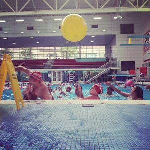 Image post by @terrierswimdive on Instagram