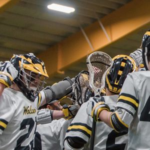 Image post by @livingitdigital on Instagram