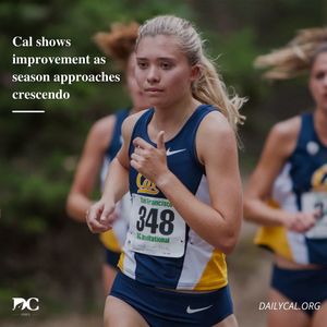 Image post by @dailycalsports on Instagram