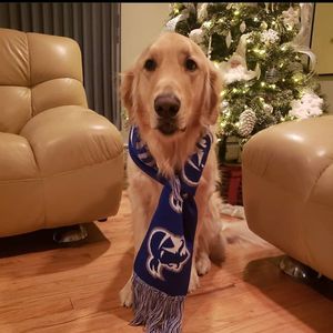 Image post by @setonhall on Instagram