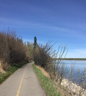 Image post by @cityofcalgary on Instagram