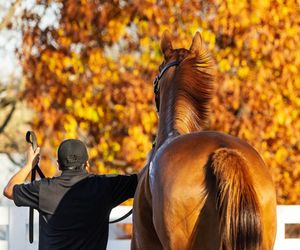 Image post by @keeneland on Instagram