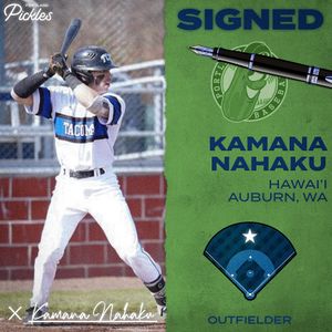 Image post by @picklesbaseball on Instagram