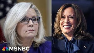 Video post by @msnbc on YouTube