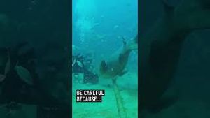 Video post by @whatifscienceshow on YouTube