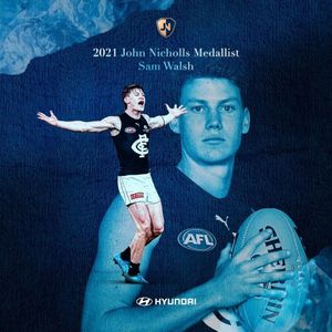 Image post by @carlton_fc on Instagram