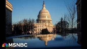 Video post by @msnbc on YouTube