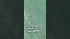 Video post by @univisionnuevayork on YouTube