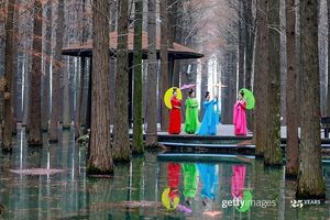 Image post by @gettyimages on Instagram