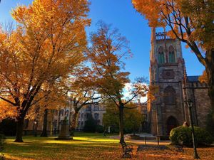 Image post by @fordhamuniversity on Instagram