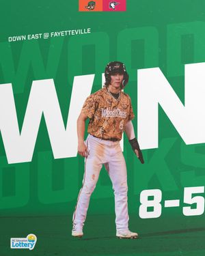 Image post by @GoWoodDucks on Twitter
