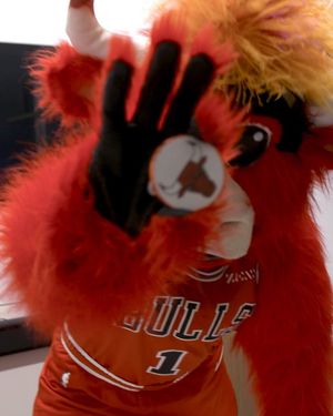 Image post by @bennythebull on Instagram