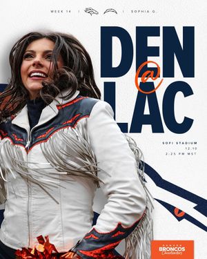 Image post by @denverbroncoscheer on Instagram