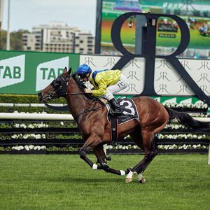 Image post by @australianturfclub on Instagram