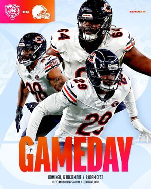 Image post by @bears_es on Instagram