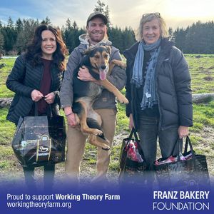 Image post by @franzbakery on Instagram